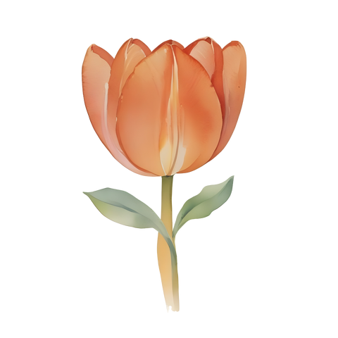 KIDS & BABIES AQUARELL 96